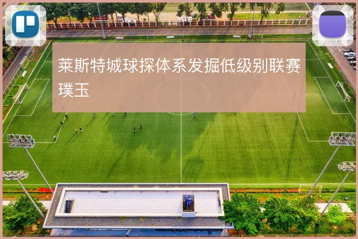 莱斯特城球探体系发掘低级别联赛璞玉