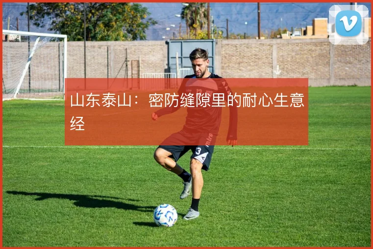 山东泰山：密防缝隙里的耐心生意经