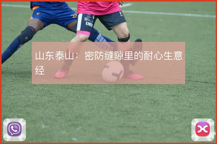 山东泰山：密防缝隙里的耐心生意经